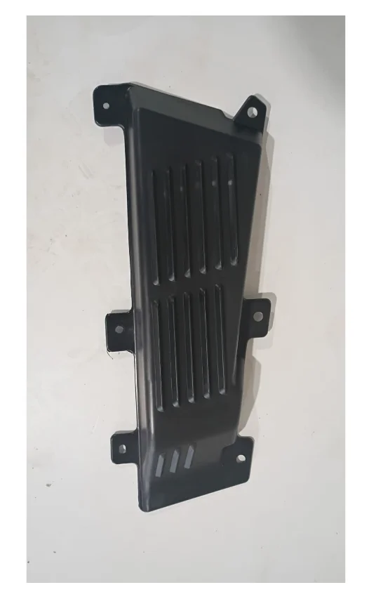 2024 - 2025 Ford F-150 Raptor OEM Front Left Rear Fog Light Cover LH